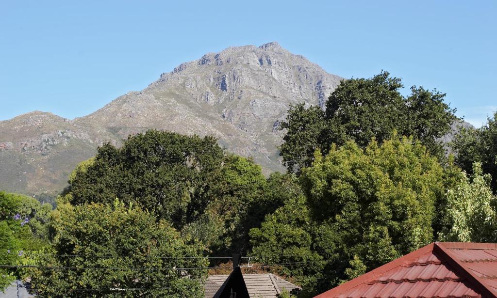 Oak Village B&B Stellenbosch Cameră foto